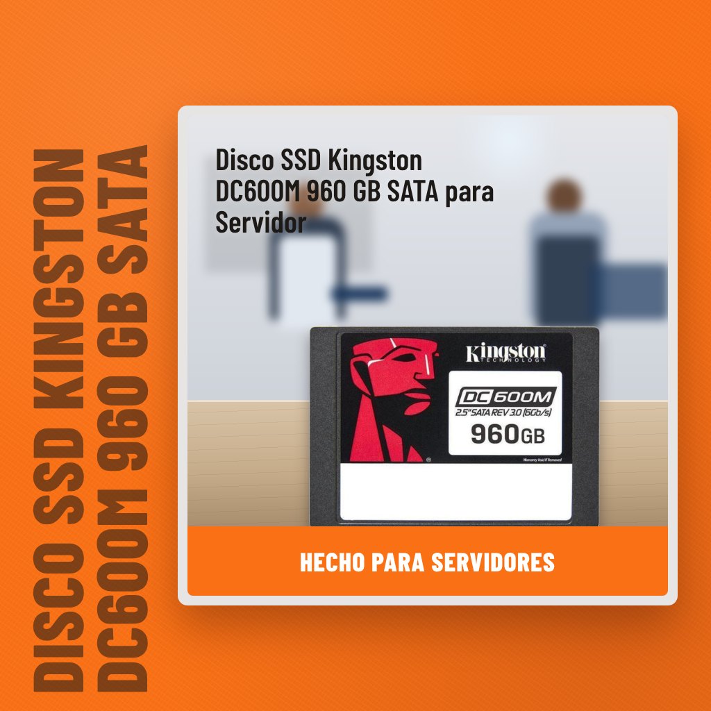 Disco SSD Kingston DC600M 960 GB SATA para Servidor en una oficina con un profesional al fondo