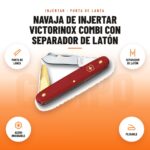Navaja de Injertar Victorinox Combi con Separador de Latón: imagen promocional con punta de lanza, separador de latón, acero inoxidable, plegable